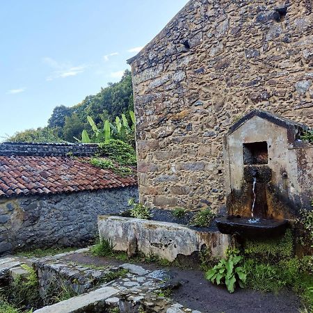 Aldeia Do Sanguinho Hotell Faial da Terra Eksteriør bilde